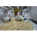 Supply iqf frozen vegetable cauliflower